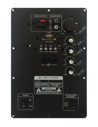 Modulo Amplificatore 100w max con uscita per secondo Diffusore - Player Usb sd Bt